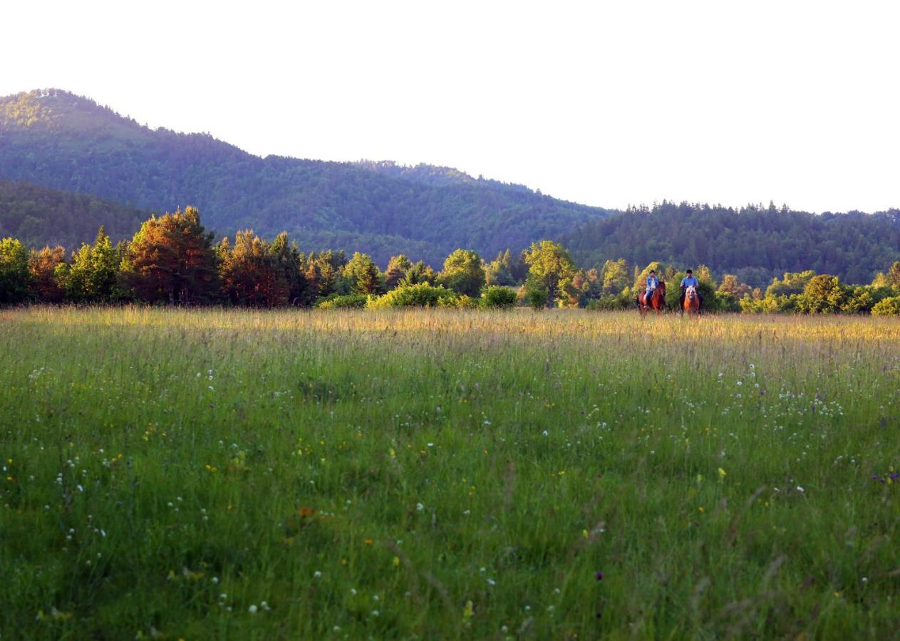 Notranjska Hisa - Traditional Country House, Close To The World Attraction Cerknica Lake Begunje pri Cerknici Eksteriør bilde