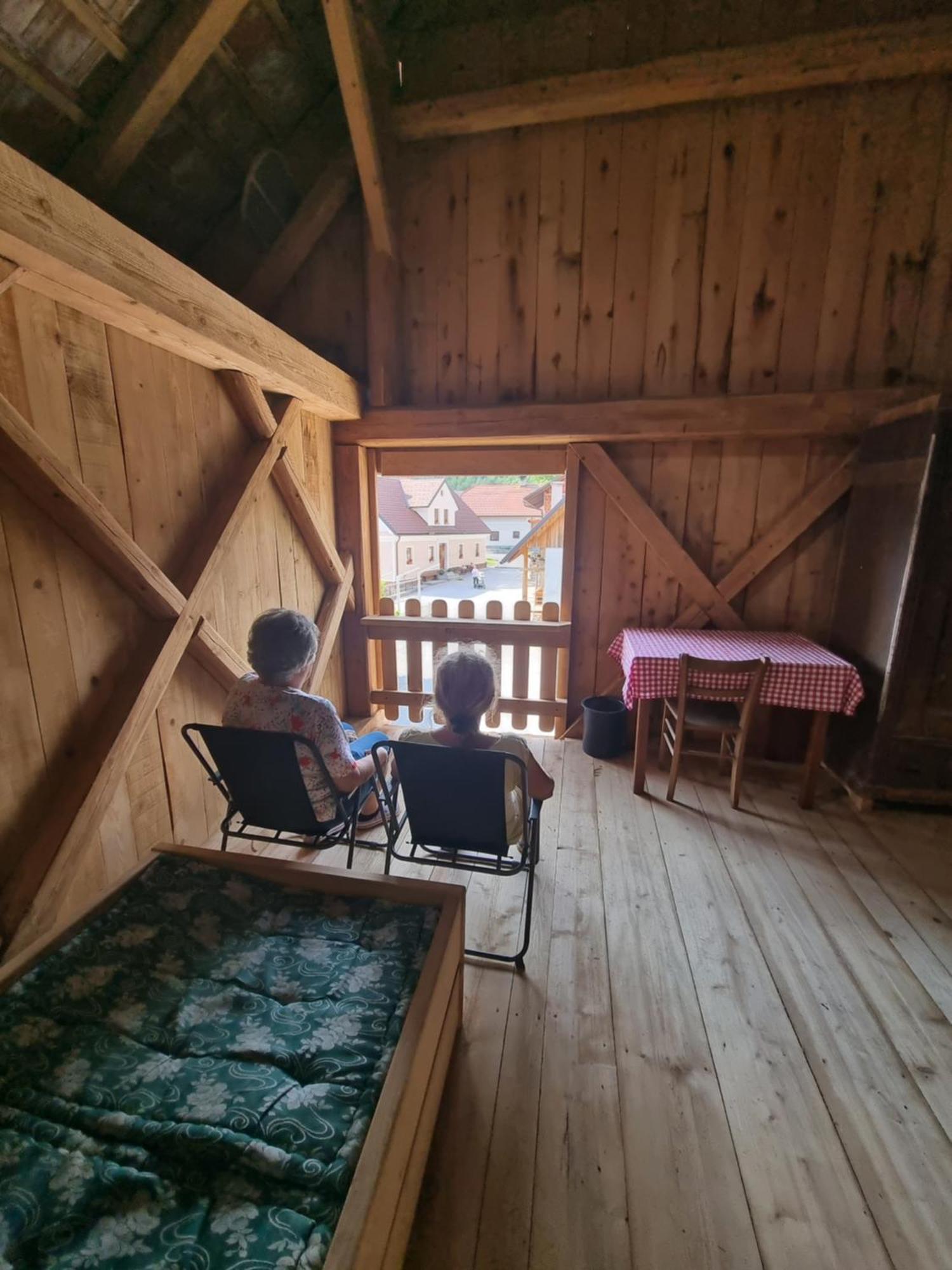 Notranjska Hisa - Traditional Country House, Close To The World Attraction Cerknica Lake Begunje pri Cerknici Eksteriør bilde